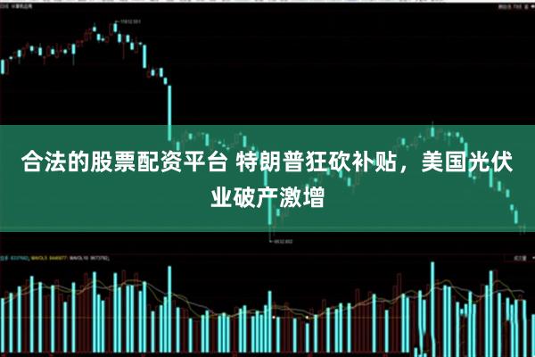 合法的股票配资平台 特朗普狂砍补贴，美国光伏业破产激增