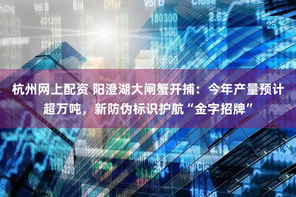 杭州网上配资 阳澄湖大闸蟹开捕：今年产量预计超万吨，新防伪标识护航“金字招牌”