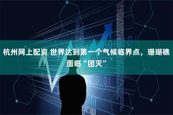 杭州网上配资 世界达到第一个气候临界点，珊瑚礁面临“团灭”